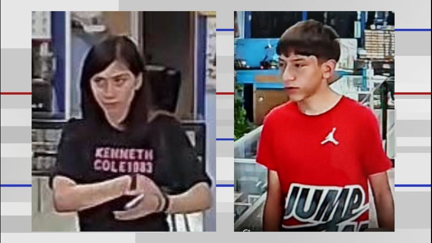 McAllen police search for theft suspects