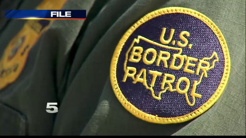 Border Patrol Agent Recovering After Bee Attack