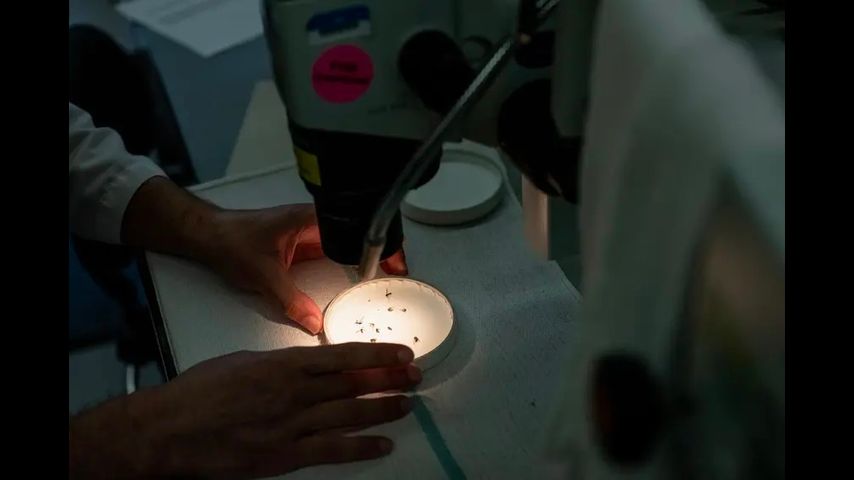 Texas public health departments brace for another $119 million in federal cuts