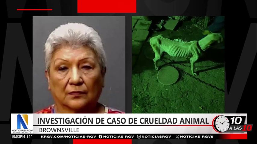 Mujer de Brownsville arrestada por cargos de abuso animal en su propiedad