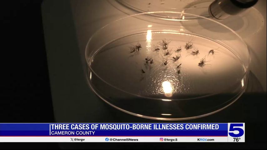 Cameron County reports locally acquired cases of West Nile virus and dengue