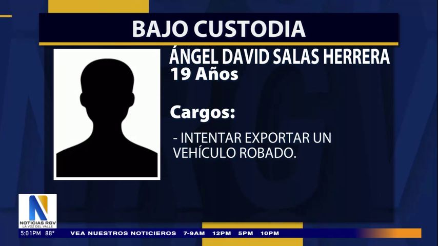 Ciudadano mexicano admite intento de exportación de vehículo robado al Cártel del Golfo