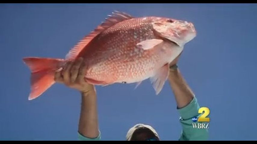 Louisiana OKs new plan for red snapper anglers