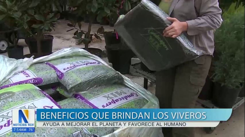 Cuidando el Planeta: Los beneficios que brindan los viveros