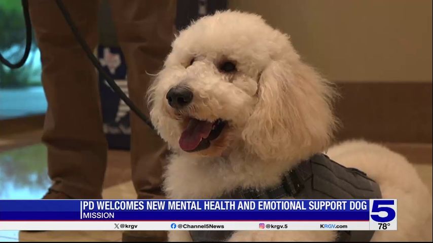 Mission Police Department welcomes first-ever emotional support dog