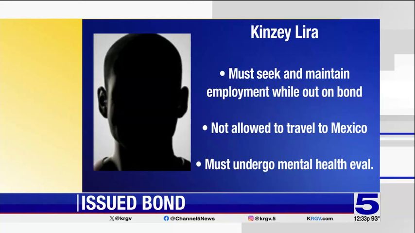 Edinburg North student accused of bringing firearm to campus out on bond