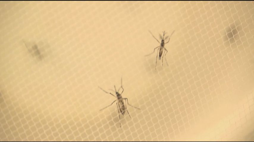 Mississippi confirms 2nd human case of West Nile this year