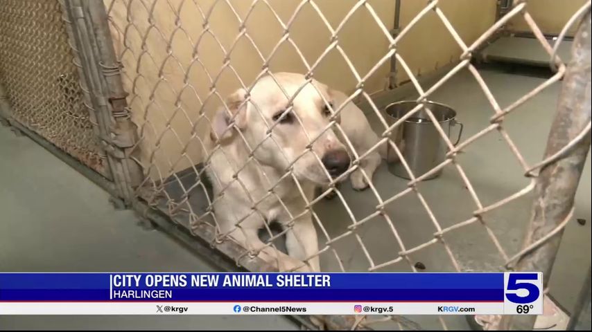 City of Harlingen hoping to save as many pets with new shelter
