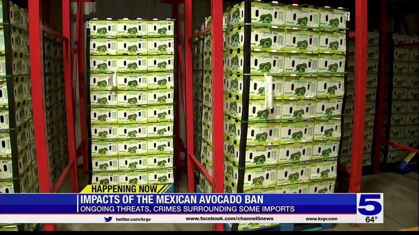 US Suspends Mexican Avocado Imports on Eve of Super Bowl