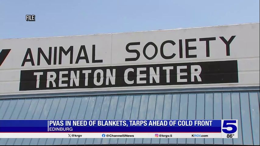 Palm Valley Animal Society requesting supplies, fosters ahead of cold front