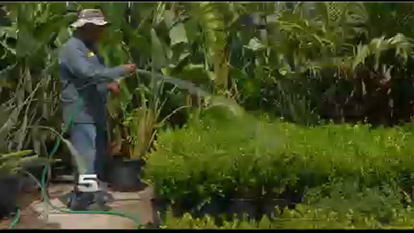 Broken Water Line in San Juan Sparks Concerns of Water Shortage