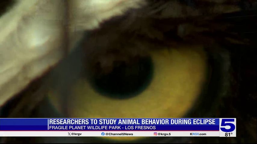 Researchers watching for unusual animal behavior during upcoming eclipse