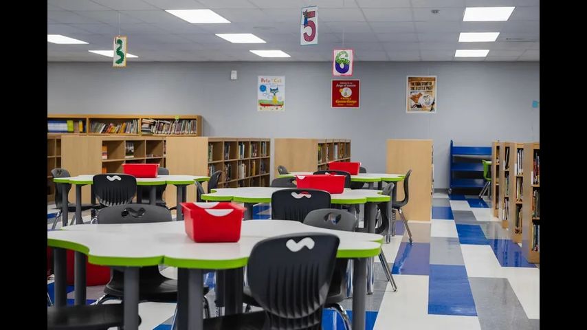 Texas parents, school boards may have more control over school library books after House OKs bill