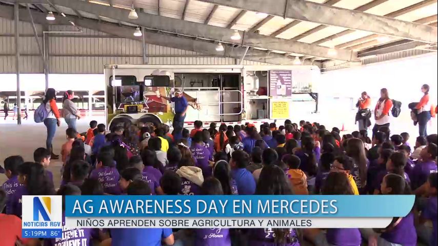 Niños aprenden sobre agricultura y animales en evento 'AG Awareness Day' en Mercedes