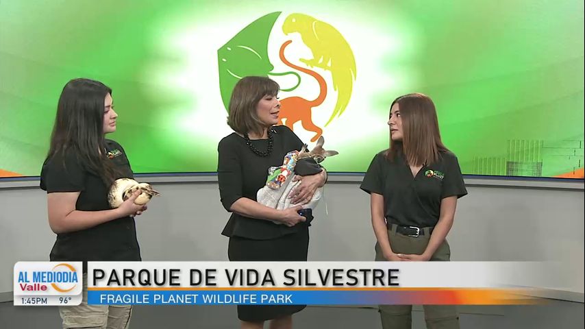 Comunidad: Safari Park abre sus puertas este sábado en Los Fresnos