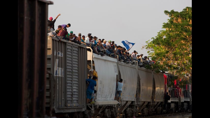 Mexican railway operator halts trains because so many migrants are climbing aboard and getting hurt