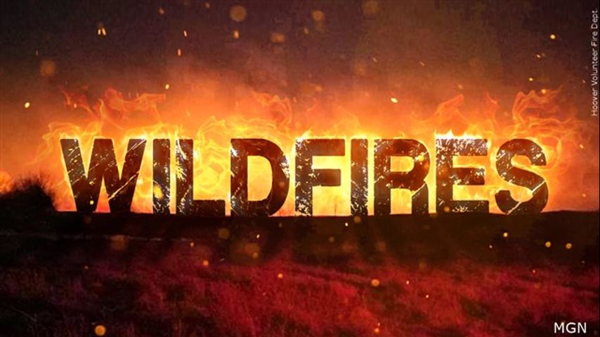 Texas Division of Emergency Management encourages Texans affected by wildfires to report property damage