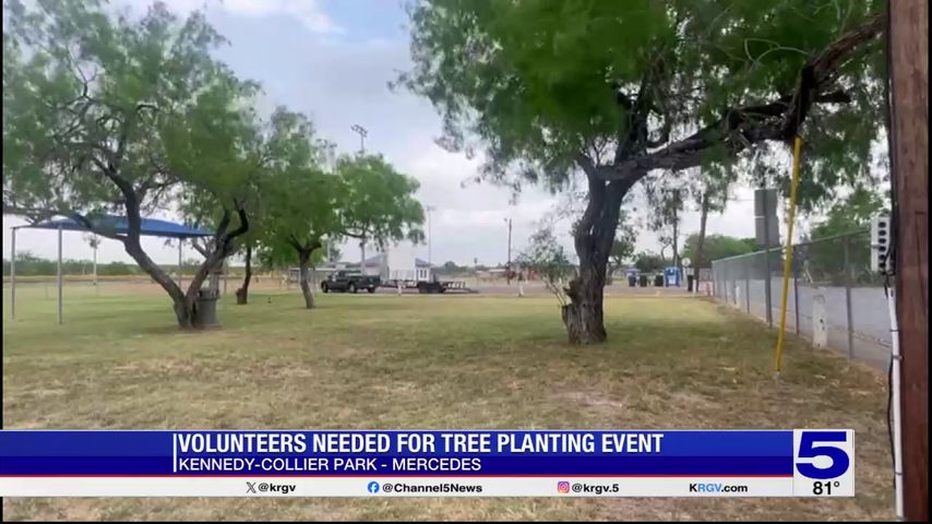 Volunteers needed for tree planting event in Mercedes