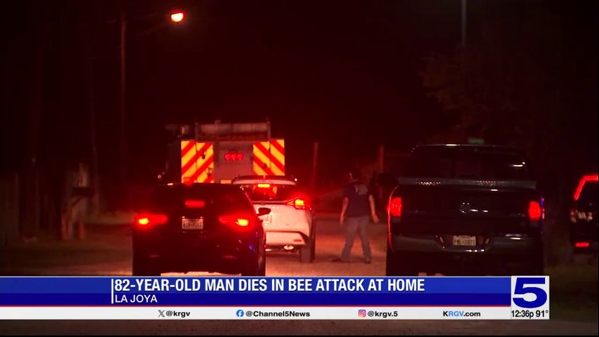 82-year-old man dies in bee attack at La Joya home