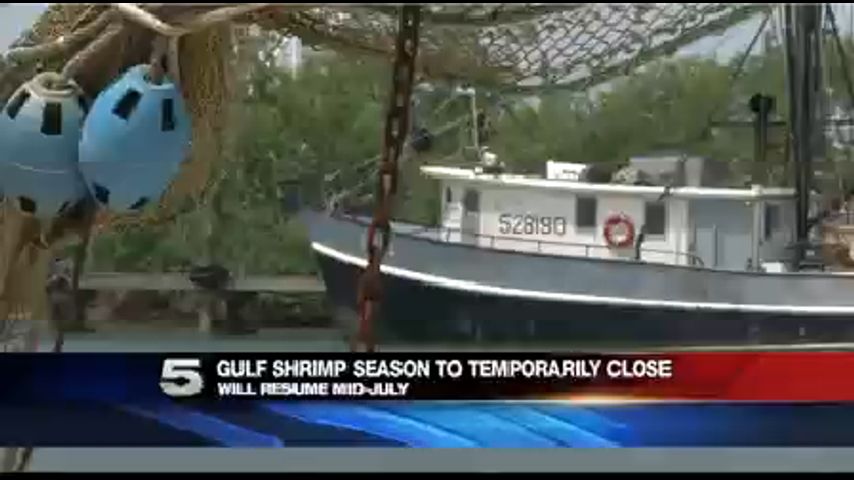 State Agency Orders Temporary Closure of Gulf Shrimp Season 