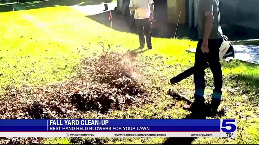 Consumer Reports: Fall yard cleanup