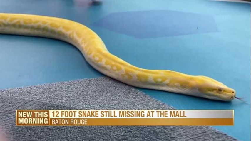 Officials searching Mall of Louisiana for escaped 12-foot python