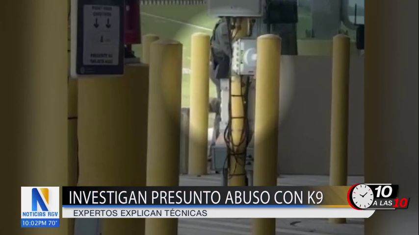 Investigan video viral de supuesto maltrato a perro K9 por agente fronterizo