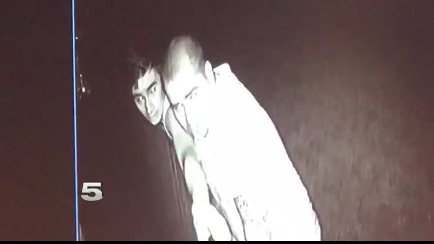 Suspect Arrested in Alamo Burglary Investigation, Search for 2nd Suspect Underway