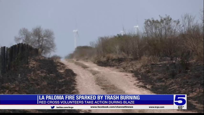 Starr County brush fire sparked by trash burning, officials say