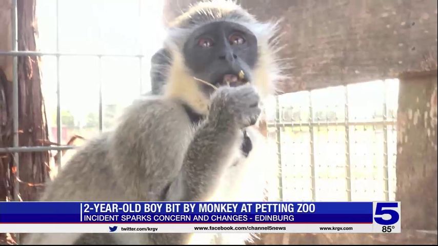 2-year-old boy bitten by monkey at Hidalgo County petting zoo