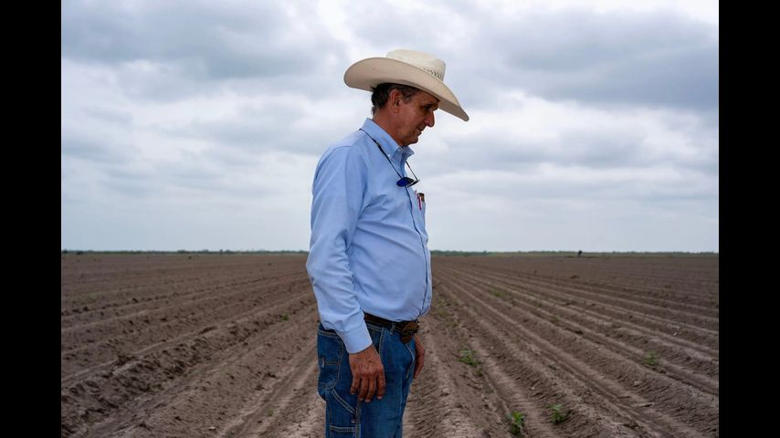 South Texas farmers are in peril as the Rio Grande Valley runs dry — again