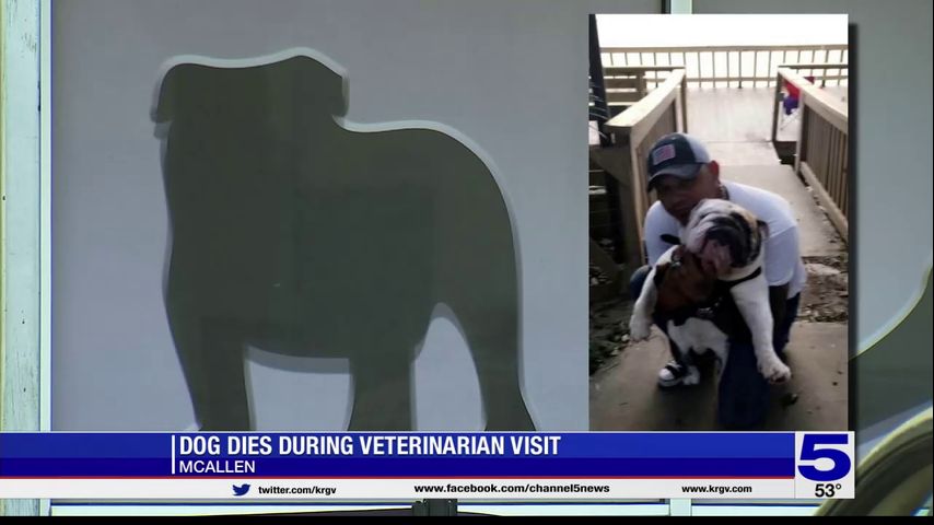 Valley couple mourns loss after dog dies during vet visit