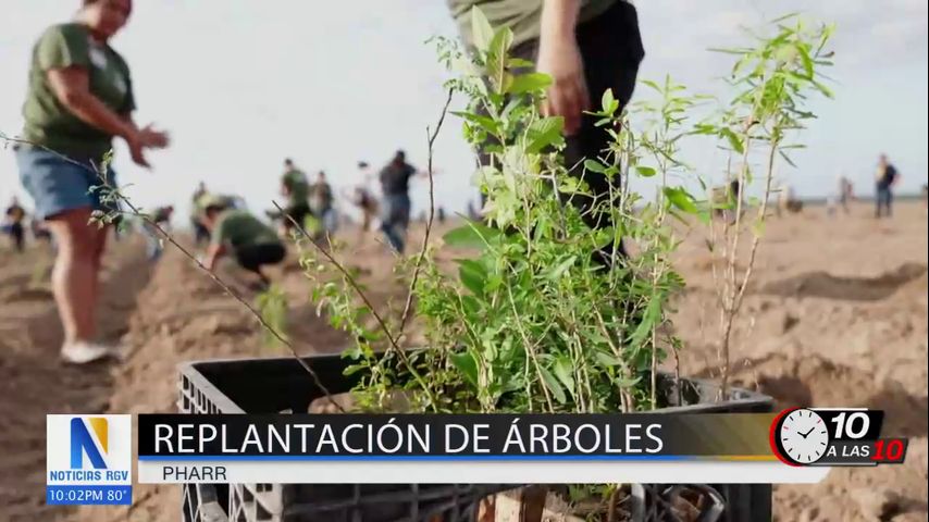 Voluntarios se unen en Pharr para reforestar y restaurar el hábitat nativo del Valle del Río Grande