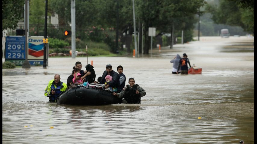 UN report paints dire picture of the Gulf of Mexico's future