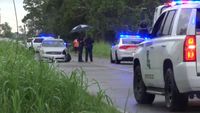 One dead in crash along Poydras Bayou Road in West Baton Rouge Parish