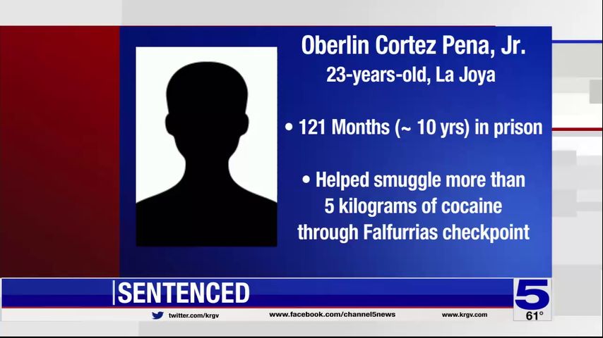 Former Border Patrol agent sentenced to more than 10 years in prison on drug smuggling charge