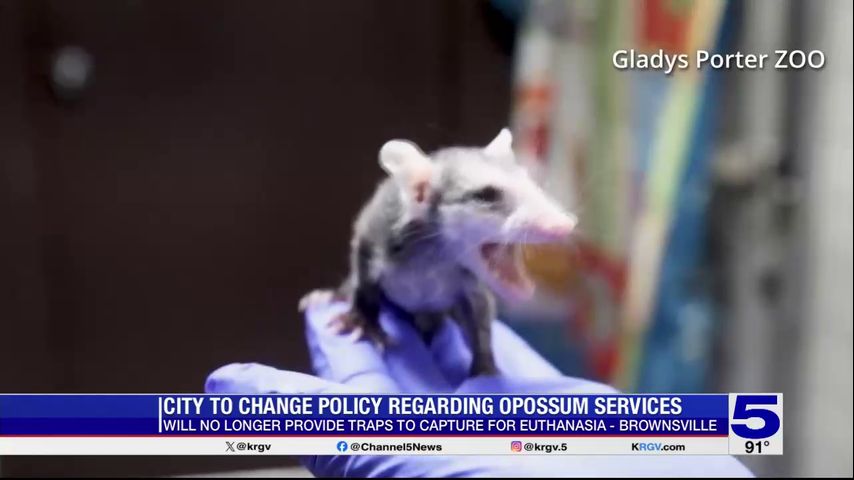 City of Brownsville no longer providing opossum traps