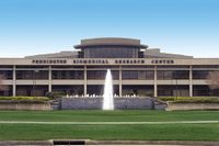 Pennington biomedical researcher selected for prestigious Resident Research Award