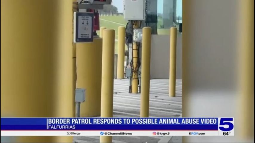 Border Patrol responds to video showing alleged animal abuse at Falfurrias checkpoint