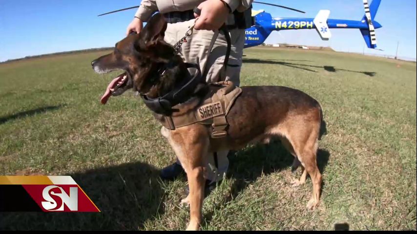 Capacitan a personal de emergencias para dar atención médica a agentes K-9 en el Valle