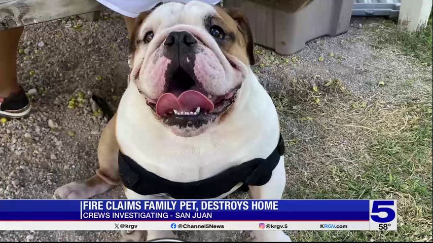 San Juan family mourning loss of dog after fire consumes home