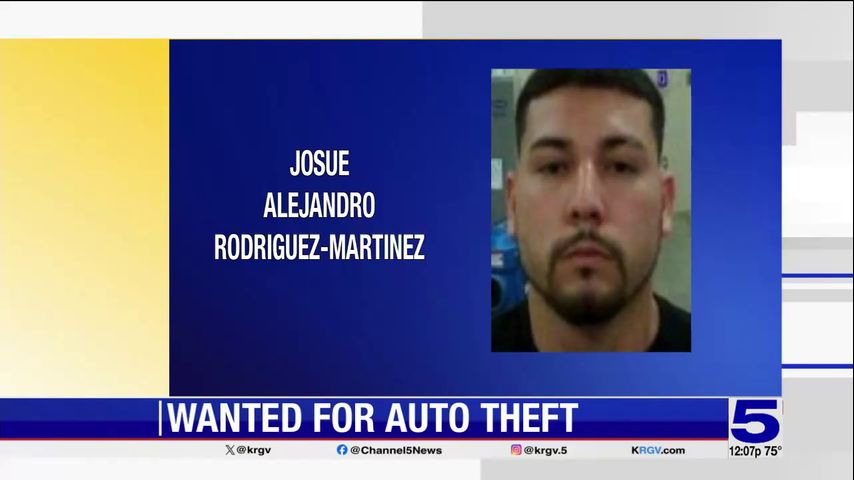 McAllen police search for auto theft suspect