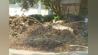 City-Parish debris removal crews to make final pass by November 21