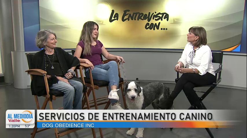 La Entrevista: Entrenamiento canino en Edinburg