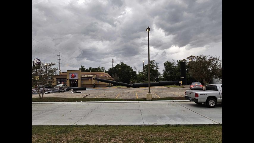 Fight At Battle Creek Taco Bell