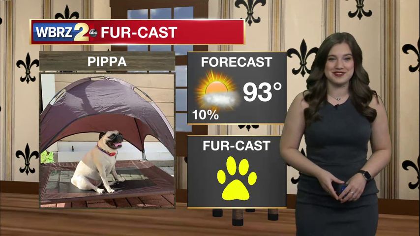 Pippa Fur-Cast