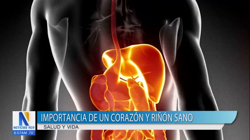 Importancia de detectar los síntomas de una enfermedad cardiaca