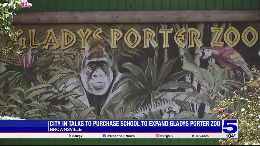 Discussions underway for purchase of Brownsville ISD building as part of Gladys Porter Zoo expansion plans