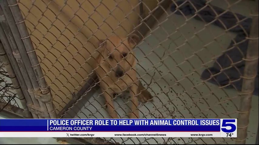 Police officer to help with animal control issues in Cameron County