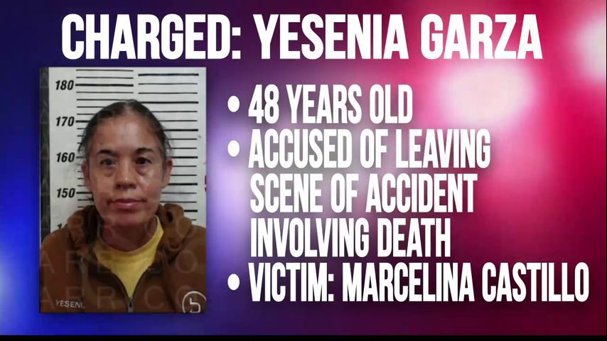 DPS: Woman dead after being struck by vehicle in Garciasville, driver charged